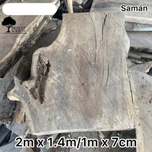 Tronco irregular de samán claro