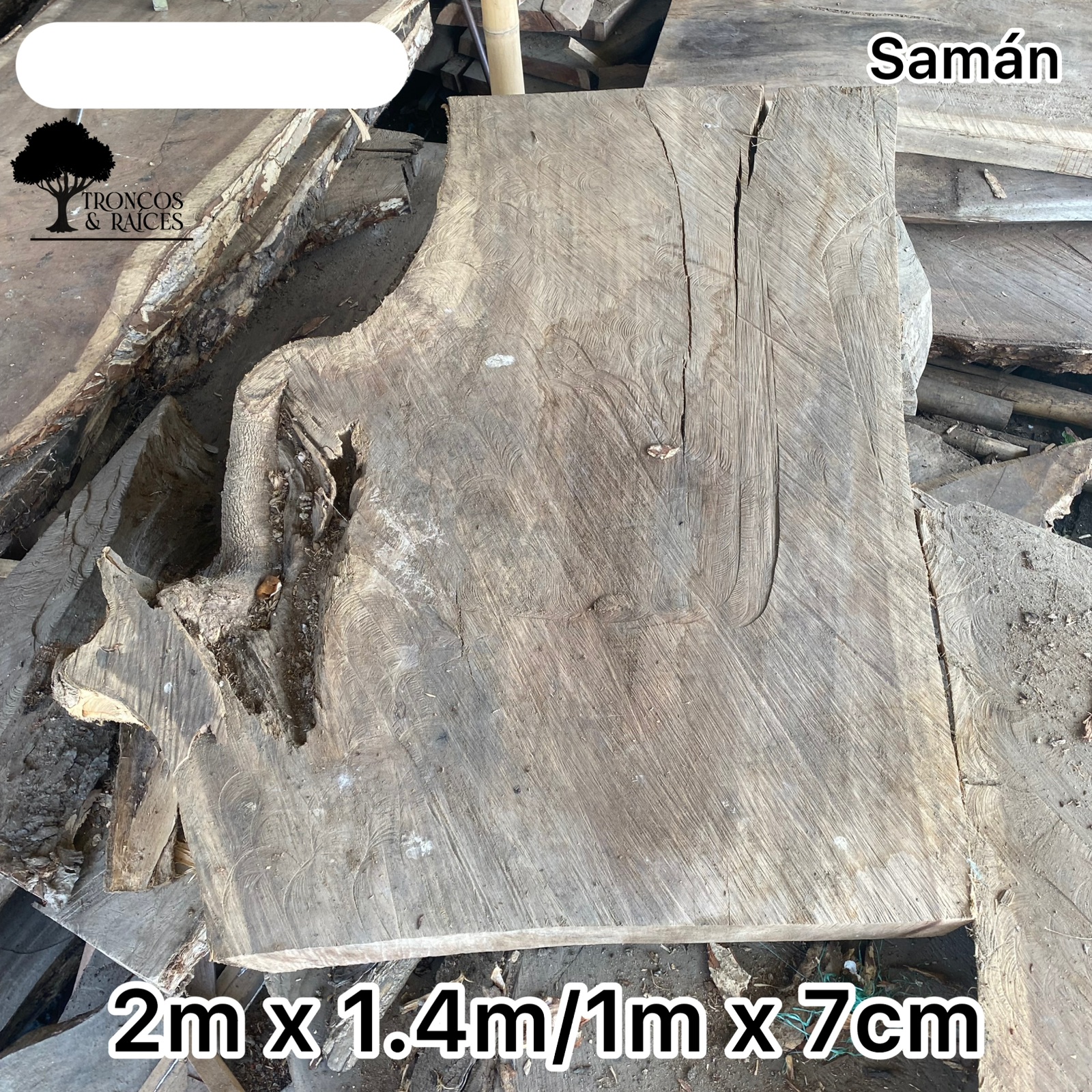 Tronco irregular de samán claro