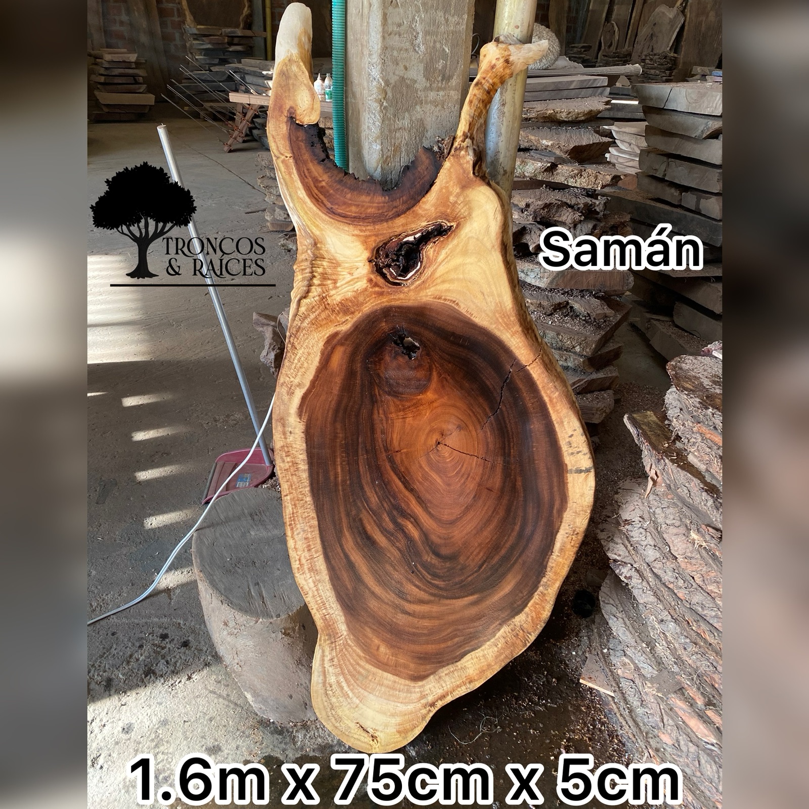 Tronco irregular de samán