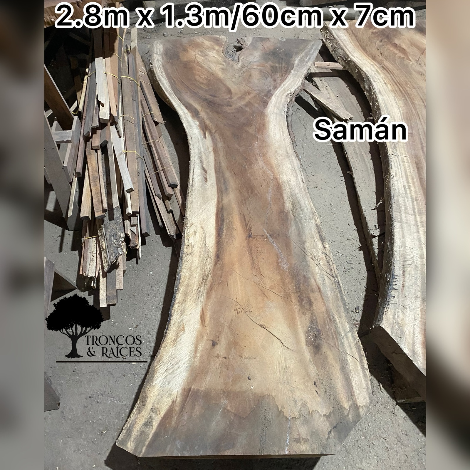 Tronco irregular de samán claro