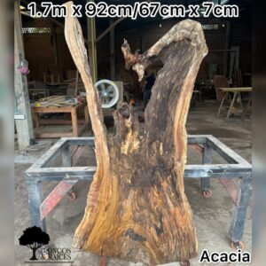 Mesa Comedor Tronco Irregular de Acacia (1.7m)